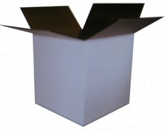 25 12x10x8 White Corrugated Boxes Shipping Packing Moving Cardboard Cartons
