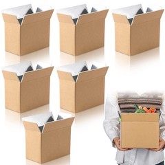 Insulated Shipping Boxes Foil Foam Cooler Carton Inside 8.7×4.5×6.1 In 6 PCS