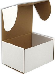 Versatile White Cardboard Shipping Boxes – 15 Pack, 12x9x6 for All Occasions