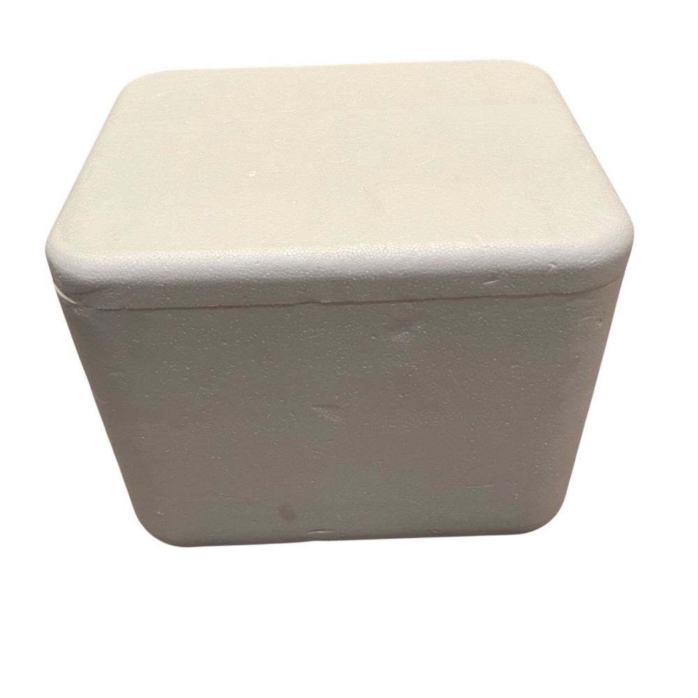 Insulated Styrofoam Shipping Cooler Inner ~8x8x10 Secure Fitted Lid Rounded
