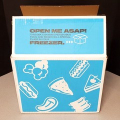Insulated Styrofoam Shipper Container Cooler OD=15″W X 13″L x 12″ H