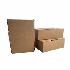 CORRUGATED CARDBOARD 12x10x3 SECURITY TAB Packing Shipping Mailing BOX – 25 PACK