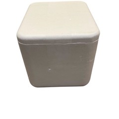 Insulated Styrofoam Shipping Cooler Inner ~8x8x10 Secure Fitted Lid Rounded