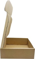 (Set of 10) 6x6x2 Inch Kraft Cardboard Shipping & Storage Boxes