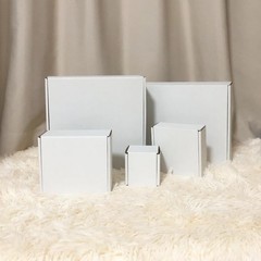 Brand New White 10x10x3 Shipping Boxes (Set of 25) for Mailing and Storage