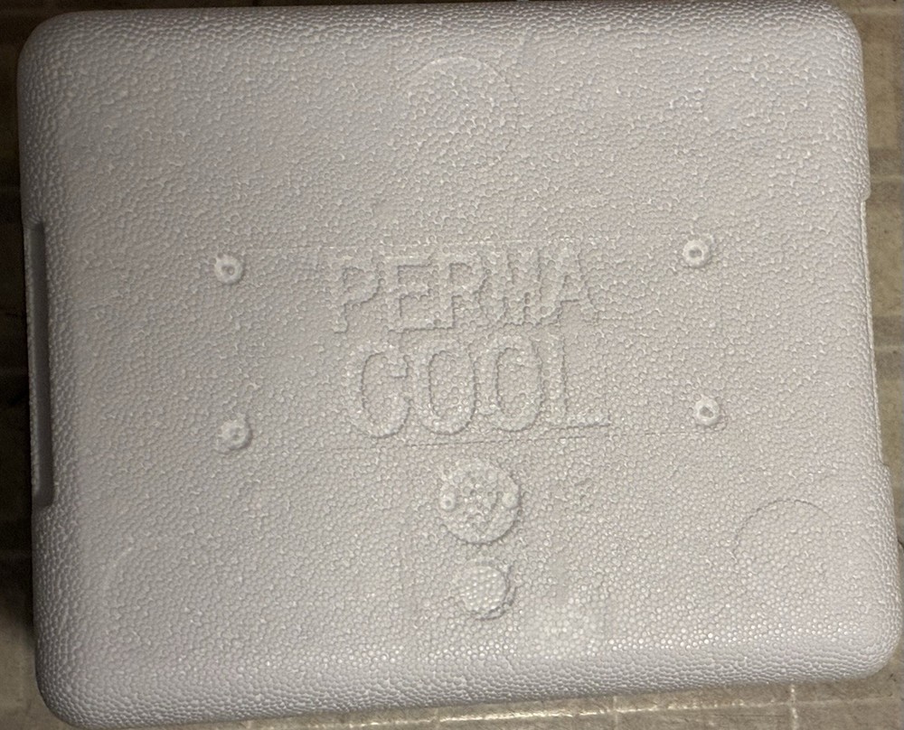 Insulated Styrofoam COOLER +shipping box refrigerated cold cool 8x7x6