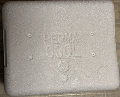 Insulated Styrofoam COOLER +shipping box refrigerated cold cool 8x7x6