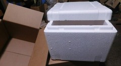 INSULATED STYROFOAM SHIPPING BOX COOLER – OUT 20X 15 X 9.5, IN 16.5 X 11.5 X 6.5