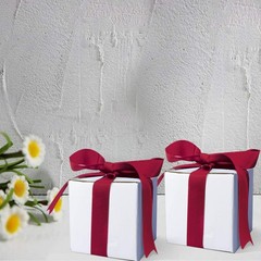 Calenzana 6x6x6 Inches Shipping Boxes Set of 25, White Corrugated Cardboard Box