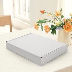 13X10X2 Inches Shipping Boxes Set of 25 White Corrugated Cardboard Box Literatur