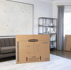 Bankers Box SmoothMove TV/Picture/Mirror Moving Box, Large, 48 x 4 x 33 Inches,