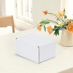 HORLIMER 6x4x3 inches Shipping Boxes Set of 50, White Corrugated Cardboard Bo…