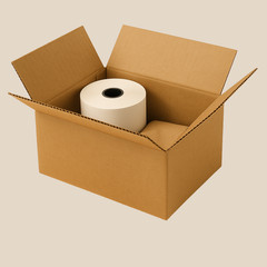 25 Pack 10x6x4 32ECT Corrugated Shipping Boxes| Cardboard Mailing Packing Carton