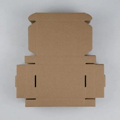 SUNLPH 50 Pack 6x4x1 Inches Small Shipping Boxes, White Corrugated Cardboard Box