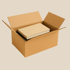 50 Pack 10x6x4 32ECT Corrugated Shipping Boxes| Cardboard Mailing Packing Carton