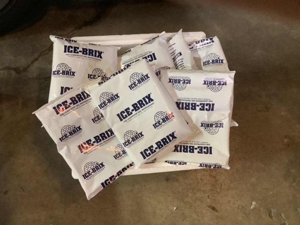 6 x 4 x 3/4″ – 6.5 oz. Ice-Brix™ Cold Packs – 12 Packs