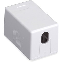Black Box Surface Mount Housing Port Value Line – 1 x Socket(s) – White (SMH1_3)
