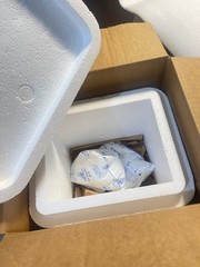 Styrofoam Insulated Medical Cooler 12″Hx12″Lx10″WwShipping Box 2 Gel Ice PacksDR