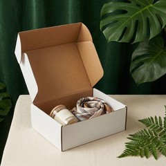 25 Pack 9x6x3 Inch Shipping Boxes White Mailer Corrugated Cardboard Commerce