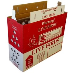 Live Bird Shipping Boxes 6pcs Horizon Chicken Poultry – USPS Approved Bird Boxes