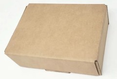 100 Pieces 9″ x 6″ x 3″ Corrugated Security Mailer Shipping Box Boxes 📦