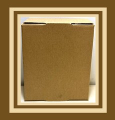 12x10x3 – TAPE FREE – 50pcs Boxes Packaging Box Cardboard Corrugated Packing