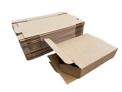 25 PCS 12x10x3 Inch Corrugated Cardboard Shipping Boxes Literature Mailer