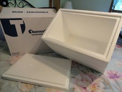 Large ThermoSafe Insulated Shipping Cooler Mailer 20″ x 13″ x 16″