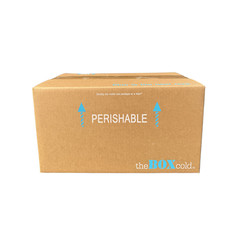 EPE USA Insulated Cold Shipping Box Foam Cooler ID: 17 ³⁄₁₆” x 10 ³⁄₁₆” x 8 ¼”