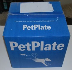 CLIMACELL INSULATED SHIPPING BOX COOLER DRY ICE 14X14X13 OUT 12X12X10 IN