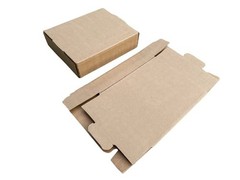 25 PCS 12x10x3 Inch Corrugated Cardboard Shipping Boxes Literature Mailer