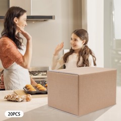 20Pcs Box Insulated Shipping Box Cold Shipping Boxes Cooler Box 200kg/440lbs