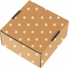 Green Recyclable Cardboard Small Gift Mailer Boxes for Shipping Packaging Craft