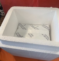 Styrofoam Insulated Cooler Shipping Container Perishable w GEL pak