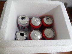Insulated Box Styrofoam Cooler 8″X 6″X 9″x Interior re-usable shipping