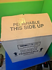 Thermo-Chill 12 x 12 x 11.5″ ID, 230/T41C Foam in Carton 17x17x16″OD PolarTech