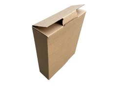 25 PCS 12x10x3 Inch Corrugated Cardboard Shipping Boxes Literature Mailer