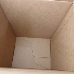 NEW Styrofoam Shipping Cooler 8.25 x 6.25 x 12 Inside Insulated Shipper With Box