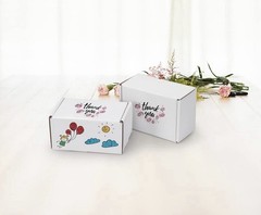 6X4X3 Shipping Boxes Set of 47, White Small Corrugated Cardboard Box, Mailer Box