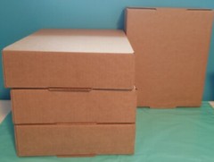 50 12x10x3 & 50 9x6x3 Boxes 100Pc Cardboard Corrugated Shipping Tapeless + Gift