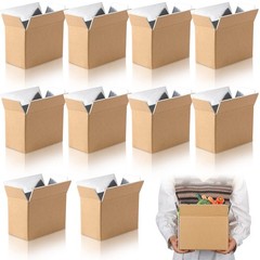 Insulated Shipping Box Cold Double Insulated Carton with Foil Foam Cooler Box…