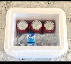 Propak Styrofoam Insulated Cooler in Box Ready to Ship Container 8x8x6 Interior