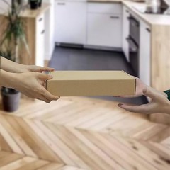 Brand New Small Brown Cardboard Packaging