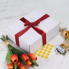 Brand New Shipping Boxes White 12x9x4