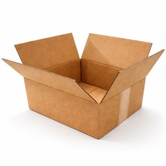 100 8x6x4 Cardboard Paper Boxes Mailing Packing Shipping Box Corrugated