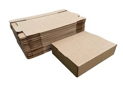 25 PCS 12x10x3 Inch Corrugated Cardboard Shipping Boxes Literature Mailer