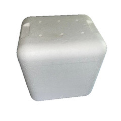 Styrofoam Shipping Cooler and Outer Box, outside measurements 10″ x 11″ x 9″