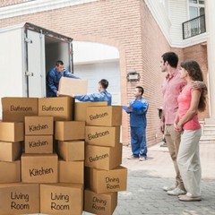 UBMOVE Moving Boxes 3 Room Economy Kit 36 Boxes & Packing Supplies