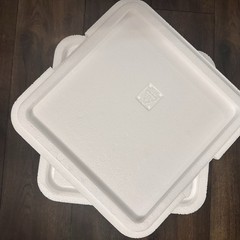 Insulated Styrofoam COOLER w/ shipping box | Cold chain Technologies 11”x11”x11”