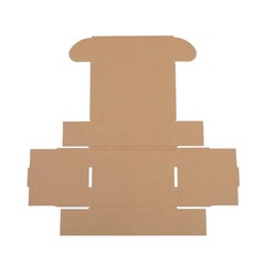 50 – 6x4x2 White Corrugated Shipping Mailer Carton Packing Fold Box